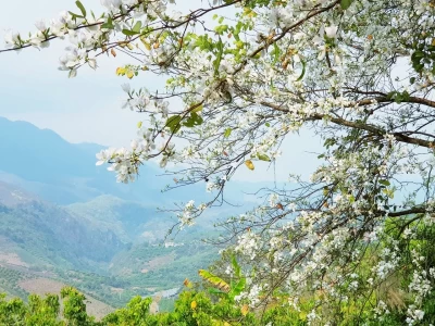 Du lịch Mộc Châu tháng 3: Hoa ban Mộc Châu, Mùa gọi nước về