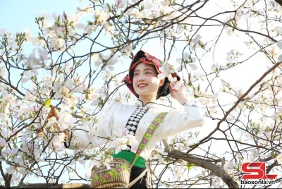 Săn hoa ban Tây Bắc cùng giới trẻ