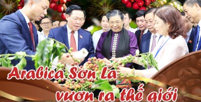 Lễ hội Cà phê Sơn La 2026 sẽ có nhiều hoạt động thú vị